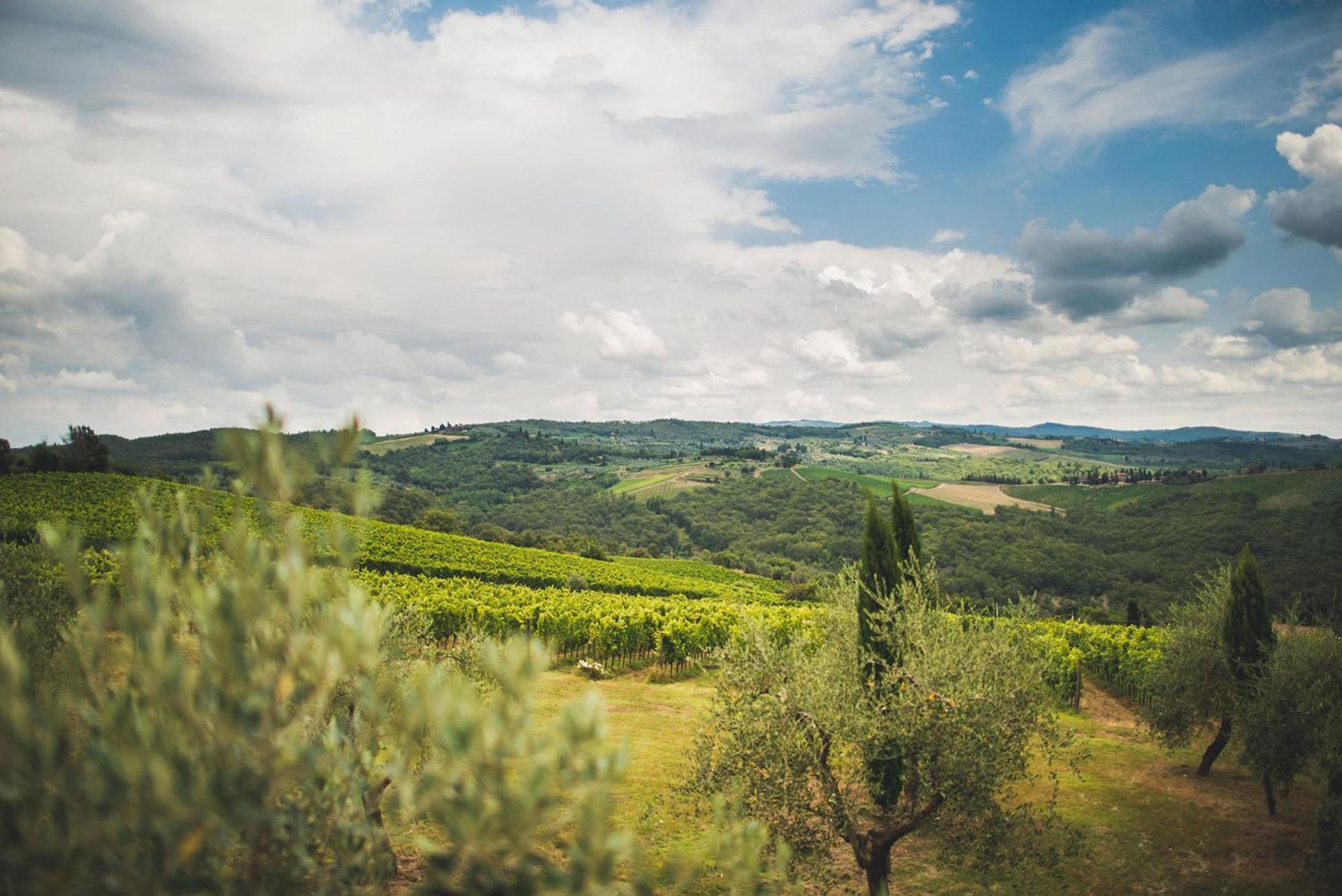 Fattoria Di Rignana Winery Bnb Греве-ін-К'янті Екстер'єр фото
