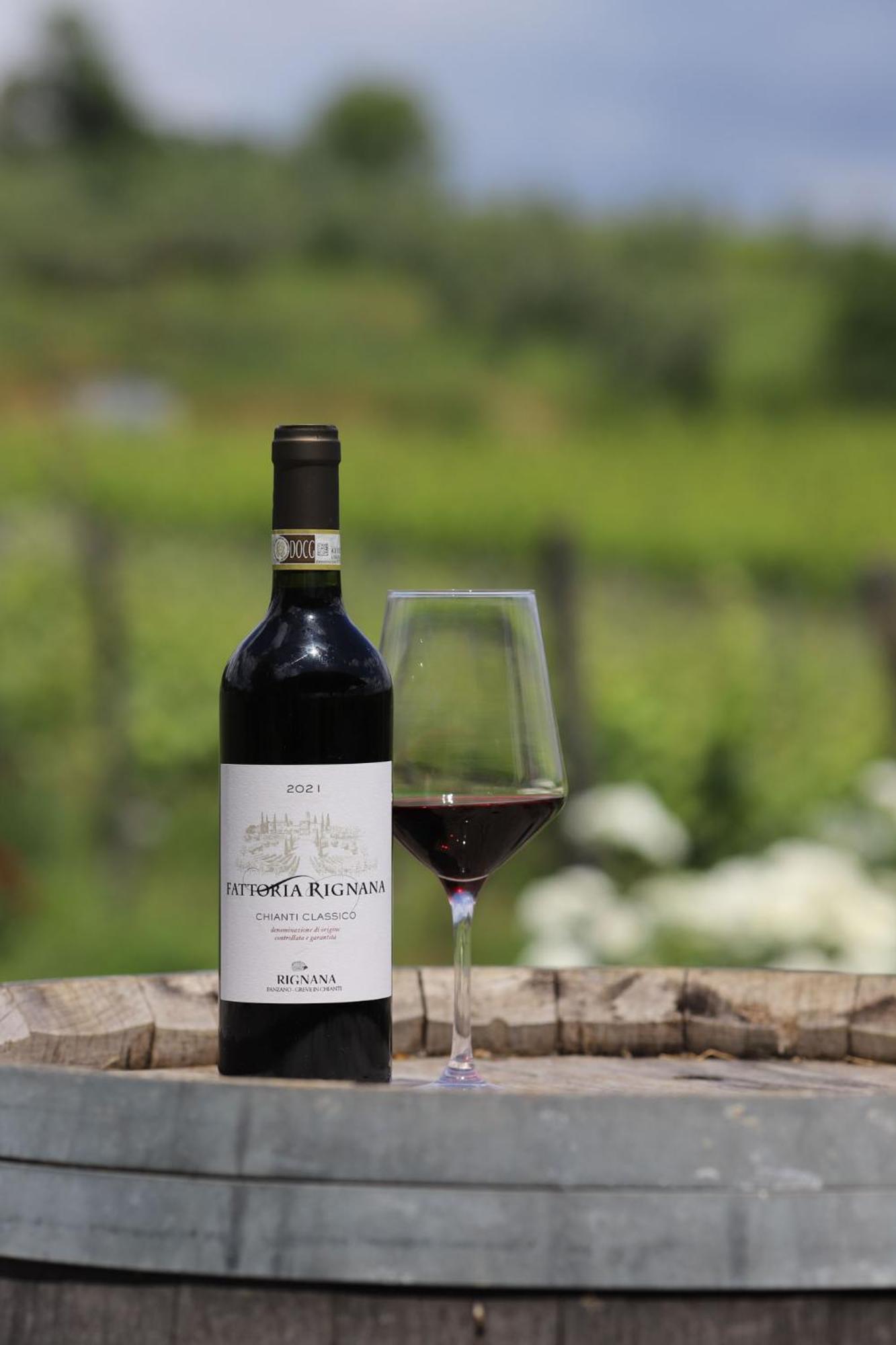 Fattoria Di Rignana Winery Bnb Греве-ін-К'янті Екстер'єр фото