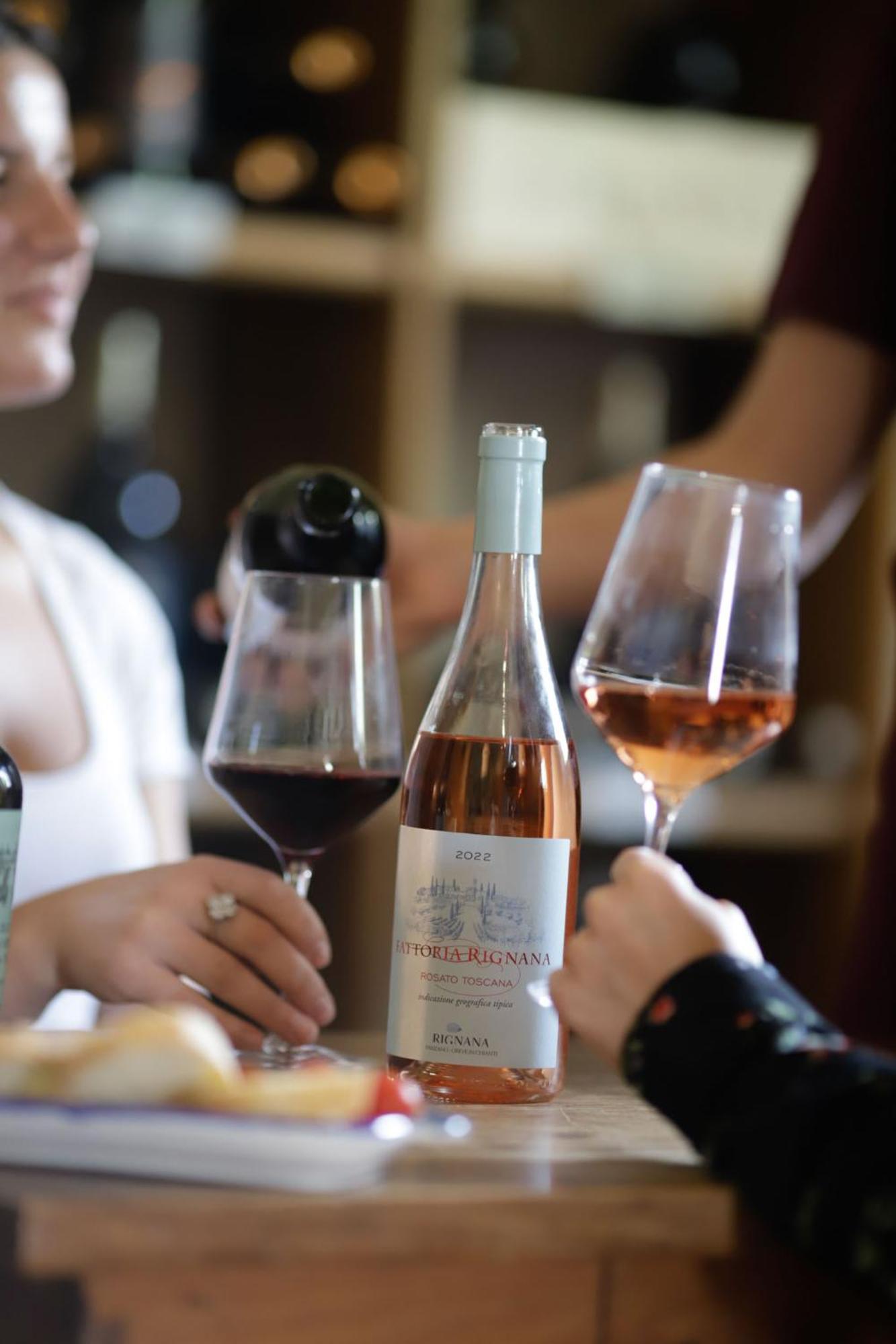 Fattoria Di Rignana Winery Bnb Греве-ін-К'янті Екстер'єр фото