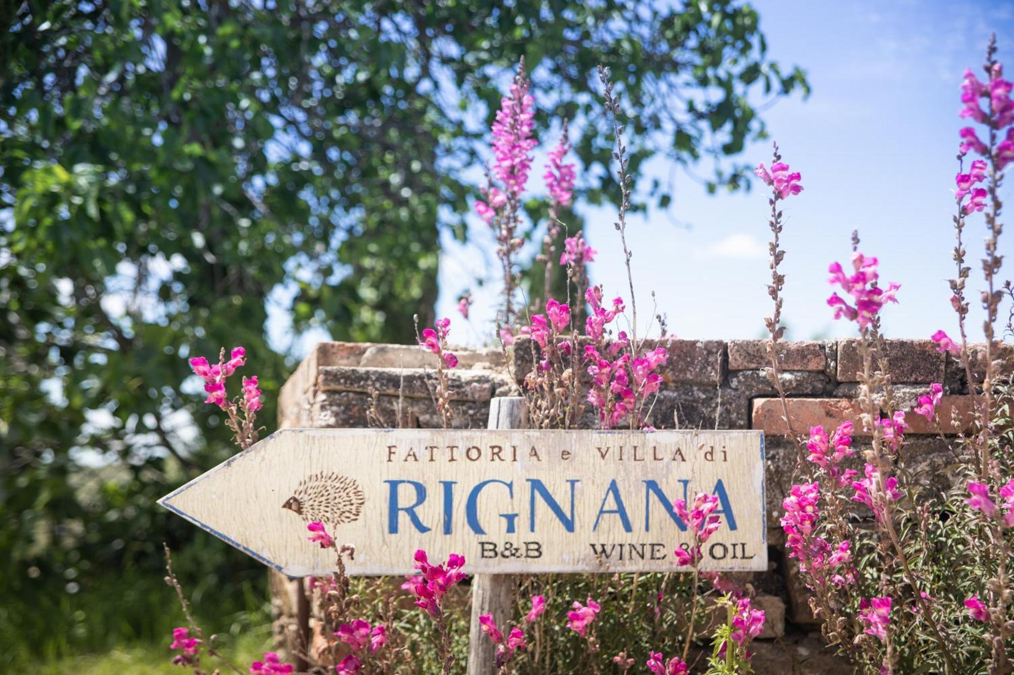 Fattoria Di Rignana Winery Bnb Греве-ін-К'янті Екстер'єр фото
